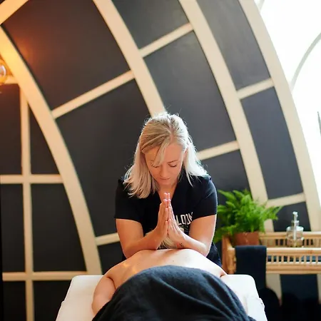 Prázdninový dům Wellness X De Ijsvogel *