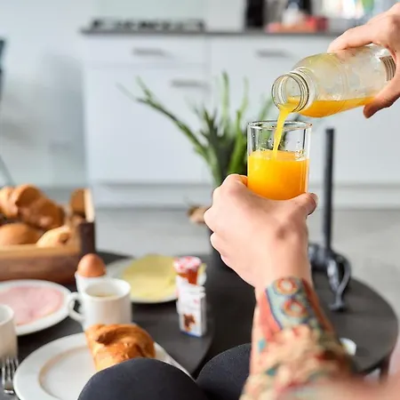 Wellness X De Ijsvogel 別荘 *