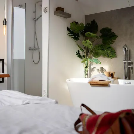 Ferienhaus Wellness X De Ijsvogel