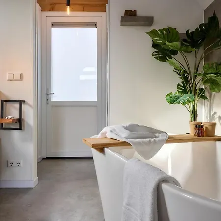 Ferienhaus Wellness X De Ijsvogel *