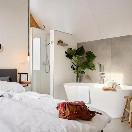Ferienhaus Wellness X De Ijsvogel