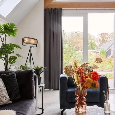 Ferienhaus Wellness X De Ijsvogel