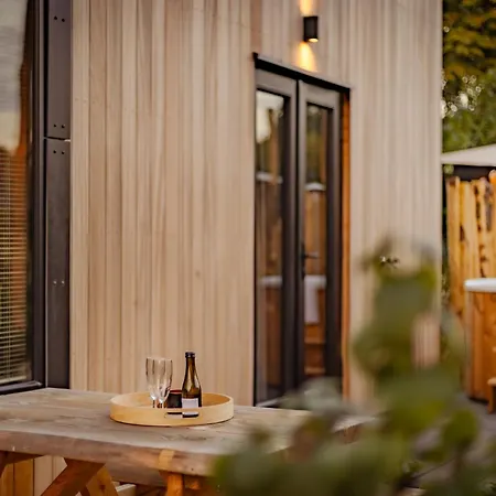 Ferienhaus Wellness X De Ijsvogel *