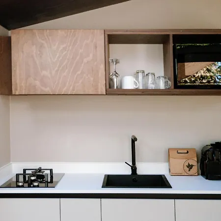 Wellness X De Ijsvogel Holiday home