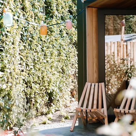 Wellness X De Ijsvogel Holiday home Voorthuizen