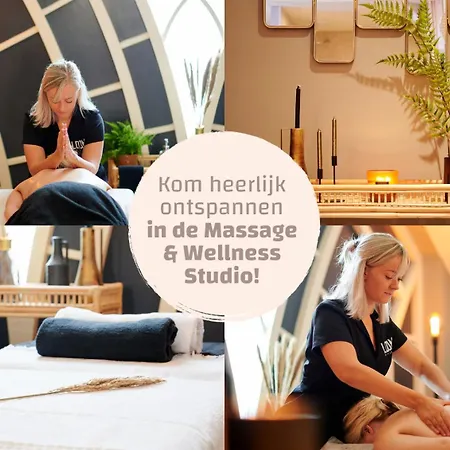 Ferienhaus Wellness X De Ijsvogel