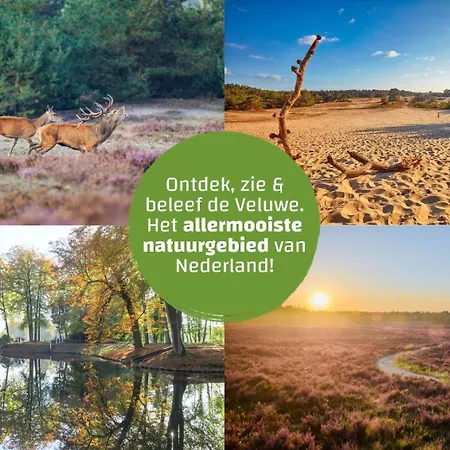 Wellness X De Ijsvogel Holiday home Voorthuizen