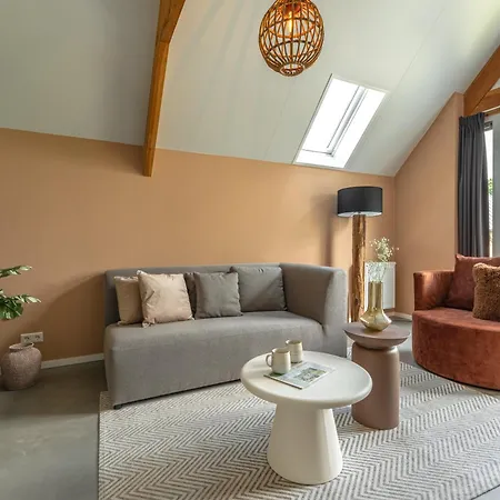 Wellness X De Ijsvogel 別荘