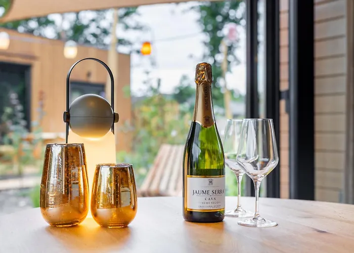 Сasa de vacaciones Wellness X De Ijsvogel *