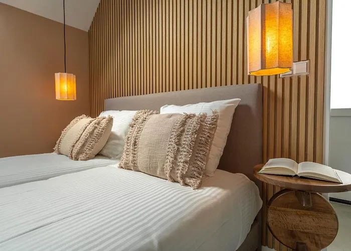 Wellness X De Ijsvogel Сasa de vacaciones Voorthuizen